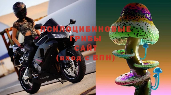 МДПВ Алексеевка